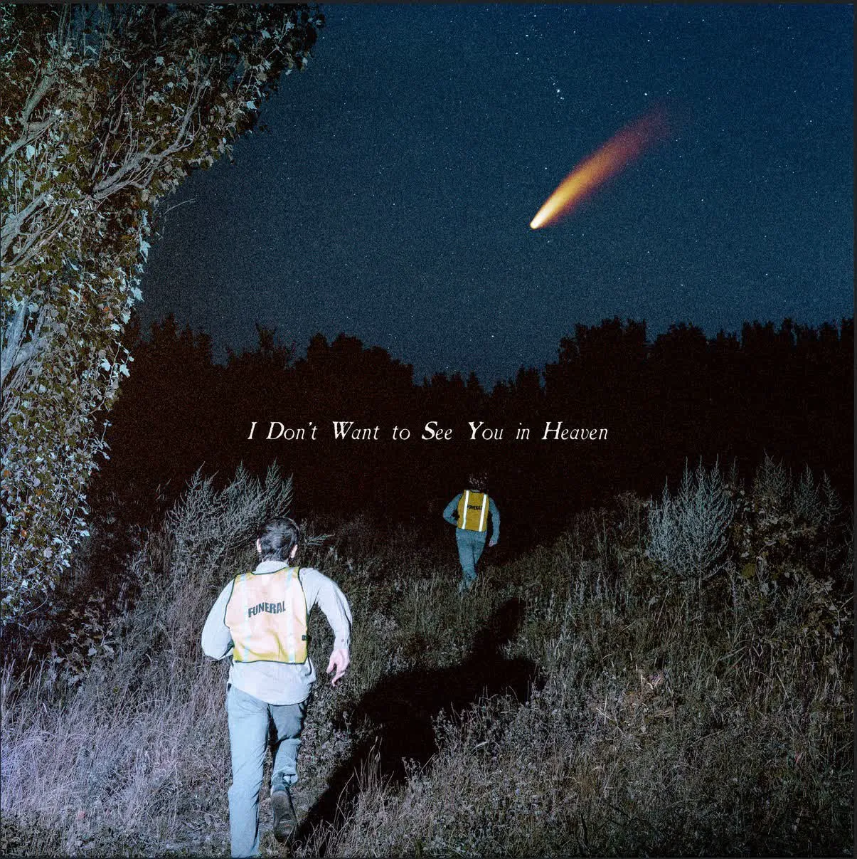 I Dont Want to See You in Heaven by Callous Daoboys - cover art